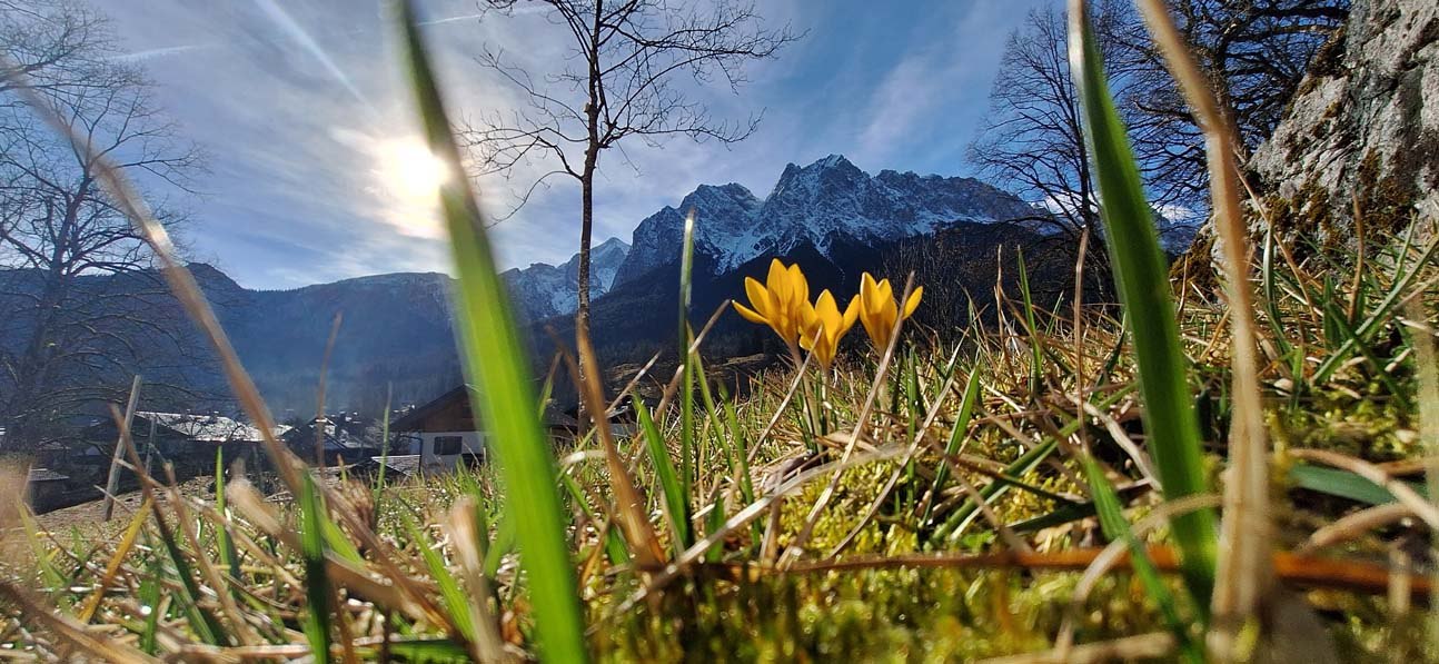 Frühjahrsblick vom Kurpark, © Zugspitzdorf Grainau - Ostler