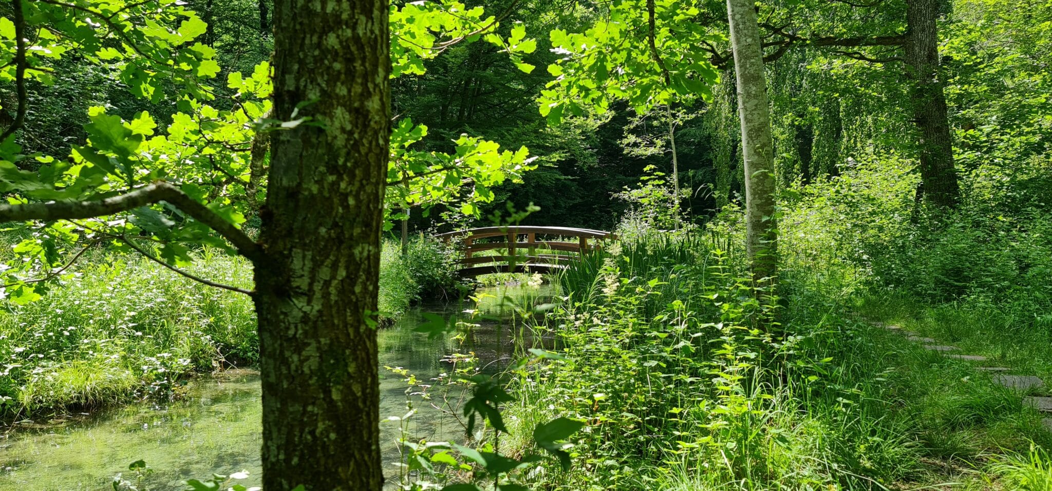 Grainau Huberpark im Sommer. Krepbach mit Holzbrücke in der Mitte. Begrüntes Ufer und Bäume